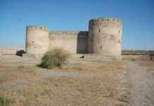 Levi Ackerman’s Fighting Skills: Why He’s the Best Soldier in Attack on Titan Levi Ackerman’s Fighting Skills: Why He’s the Best Soldier in Attack on Titan