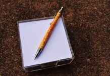 Light Yagami’s Rise to Power: What Went Wrong with the Death Note? Light Yagami’s Rise to Power: What Went Wrong with the Death Note?