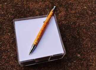 Light Yagami’s Rise to Power: What Went Wrong with the Death Note? Light Yagami’s Rise to Power: What Went Wrong with the Death Note?