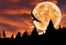 Luna’s Hidden Depths: Why She’s One of the Most Powerful Characters in Sailor Moon Luna’s Hidden Depths: Why She’s One of the Most Powerful Characters in Sailor Moon