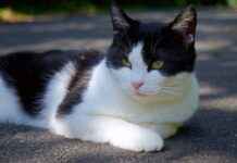 Madara Uchiha’s Biggest Secrets: What Makes Him the True Force of Destruction? Madara Uchiha’s Biggest Secrets: What Makes Him the True Force of Destruction?