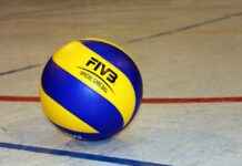 Mikasa’s Unmatched Loyalty: Why She’s the True Hero of Attack on Titan Mikasa’s Unmatched Loyalty: Why She’s the True Hero of Attack on Titan