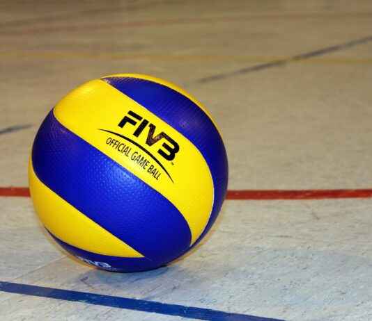 Mikasa’s Unmatched Loyalty: Why She’s the True Hero of Attack on Titan Mikasa’s Unmatched Loyalty: Why She’s the True Hero of Attack on Titan