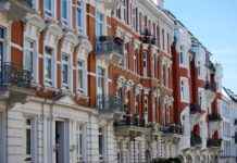 Mikasa’s Unstoppable Strength: Why She’s the Ultimate Warrior in Attack on Titan Mikasa’s Unstoppable Strength: Why She’s the Ultimate Warrior in Attack on Titan