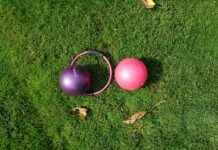 Nezuko’s Demon Form Explained: How Powerful is She Really? Nezuko’s Demon Form Explained: How Powerful is She Really?