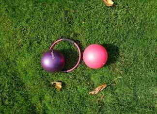 Nezuko’s Demon Form Explained: How Powerful is She Really? Nezuko’s Demon Form Explained: How Powerful is She Really?