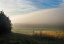 Reiner Braun’s Dual Identity: How He’s Both Villain and Hero in Attack on Titan Reiner Braun’s Dual Identity: How He’s Both Villain and Hero in Attack on Titan