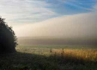 Reiner Braun’s Dual Identity: How He’s Both Villain and Hero in Attack on Titan Reiner Braun’s Dual Identity: How He’s Both Villain and Hero in Attack on Titan