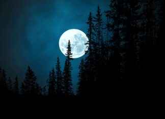 Sailor Chibi Moon’s Role in the Future: Why She’s Essential to the Sailor Moon Saga Sailor Chibi Moon’s Role in the Future: Why She’s Essential to the Sailor Moon Saga