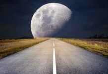 Sailor Jupiter’s Strength: Why She’s More Than Just a Fighter in Sailor Moon Sailor Jupiter’s Strength: Why She’s More Than Just a Fighter in Sailor Moon