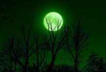 Sailor Mars’ Spiritual Power: How She Became One of Sailor Moon’s Most Powerful Heroes Sailor Mars’ Spiritual Power: How She Became One of Sailor Moon’s Most Powerful Heroes