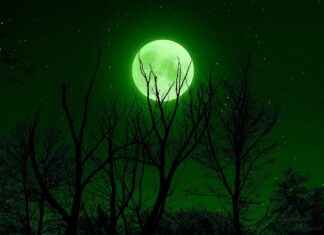 Sailor Mars’ Spiritual Power: How She Became One of Sailor Moon’s Most Powerful Heroes Sailor Mars’ Spiritual Power: How She Became One of Sailor Moon’s Most Powerful Heroes