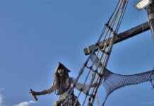 Sailor Venus’ Love for Justice: How She Became the Warrior of Love in Sailor Moon Sailor Venus’ Love for Justice: How She Became the Warrior of Love in Sailor Moon