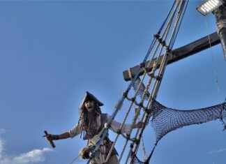 Sailor Venus’ Love for Justice: How She Became the Warrior of Love in Sailor Moon Sailor Venus’ Love for Justice: How She Became the Warrior of Love in Sailor Moon