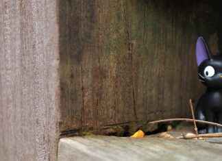 The Best Anime That Blend Science Fiction with Fantasy The Best Anime That Blend Science Fiction with Fantasy