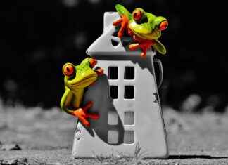 The Best My Hero Academia Battles Ranked The Best My Hero Academia Battles Ranked