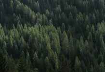 The Dark Psychology Behind Yuno Gasai’s Obsession The Dark Psychology Behind Yuno Gasai’s Obsession