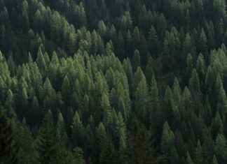 The Dark Psychology Behind Yuno Gasai’s Obsession The Dark Psychology Behind Yuno Gasai’s Obsession