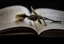 The Heartbreaking Truth Behind Rem’s Love for Subaru in Re:Zero The Heartbreaking Truth Behind Rem’s Love for Subaru in Re:Zero