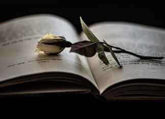 The Heartbreaking Truth Behind Rem’s Love for Subaru in Re:Zero The Heartbreaking Truth Behind Rem’s Love for Subaru in Re:Zero