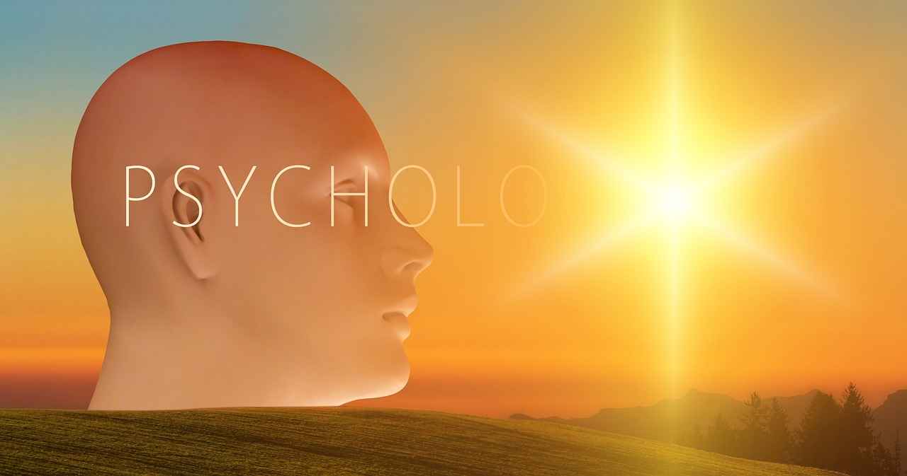 Their Strategies: Analyzing the Mind Games