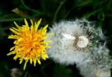 The Most Epic Transformations in Anime History The Most Epic Transformations in Anime History