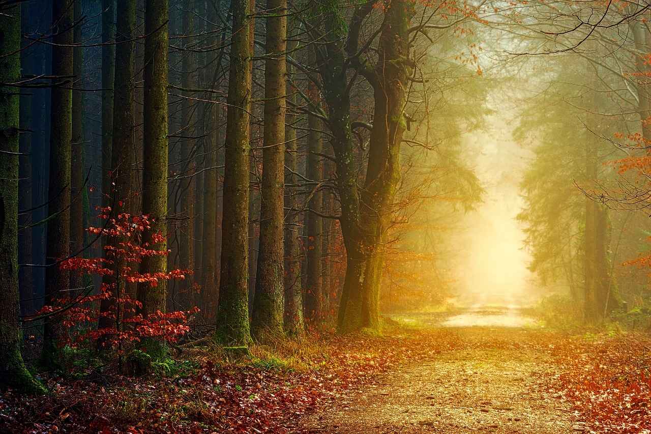 The Essence of Hope