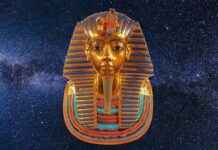 The Mystery Behind Rei Ayanami’s Existence in Neon Genesis Evangelion The Mystery Behind Rei Ayanami’s Existence in Neon Genesis Evangelion