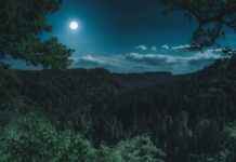 Usagi’s Journey from Clumsy Girl to Powerful Sailor Moon Usagi’s Journey from Clumsy Girl to Powerful Sailor Moon