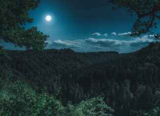 Usagi’s Journey from Clumsy Girl to Powerful Sailor Moon Usagi’s Journey from Clumsy Girl to Powerful Sailor Moon