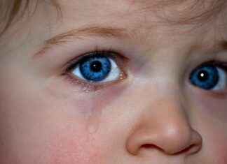 Why Alphonse’s Soul Bond is One of the Saddest Stories in Anime Why Alphonse’s Soul Bond is One of the Saddest Stories in Anime