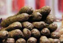 Why Guts’ Story is the Darkest and Most Tragic in Anime Why Guts’ Story is the Darkest and Most Tragic in Anime