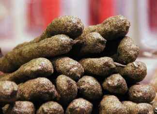 Why Guts’ Story is the Darkest and Most Tragic in Anime Why Guts’ Story is the Darkest and Most Tragic in Anime