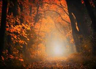 Why Megumin’s Explosion Magic is the Best Thing About Konosuba Why Megumin’s Explosion Magic is the Best Thing About Konosuba