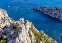 Why Megumi’s Domain Expansion is the Most Mysterious in Jujutsu Kaisen Why Megumi’s Domain Expansion is the Most Mysterious in Jujutsu Kaisen