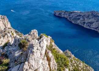 Why Megumi’s Domain Expansion is the Most Mysterious in Jujutsu Kaisen Why Megumi’s Domain Expansion is the Most Mysterious in Jujutsu Kaisen