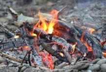 Why Roy Mustang’s Flame Alchemy is the Most Powerful in Fullmetal Alchemist Why Roy Mustang’s Flame Alchemy is the Most Powerful in Fullmetal Alchemist