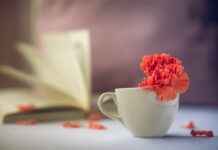 Yor Forger’s Deadliest Assassin Skills Ranked Yor Forger’s Deadliest Assassin Skills Ranked