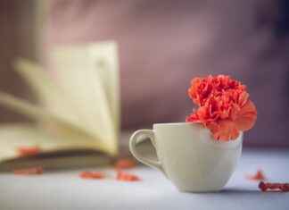 Yor Forger’s Deadliest Assassin Skills Ranked Yor Forger’s Deadliest Assassin Skills Ranked